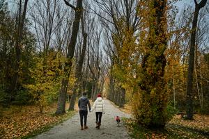 Escapadas románticas de invierno en Madrid, reaviva la chispa en Apartamentos Recoletos Apartamentos Recoletos Escapadas románticas de invierno en Madrid, reaviva la chispa en Apartamentos Recoletos Apartamentos Recoletos