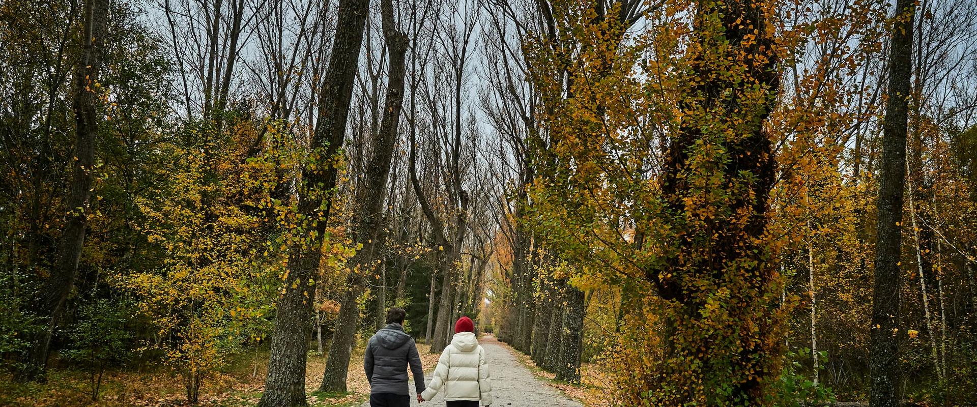Escapadas románticas de invierno en Madrid, reaviva la chispa en Apartamentos Recoletos Apartamentos Recoletos Escapadas románticas de invierno en Madrid, reaviva la chispa en Apartamentos Recoletos Apartamentos Recoletos