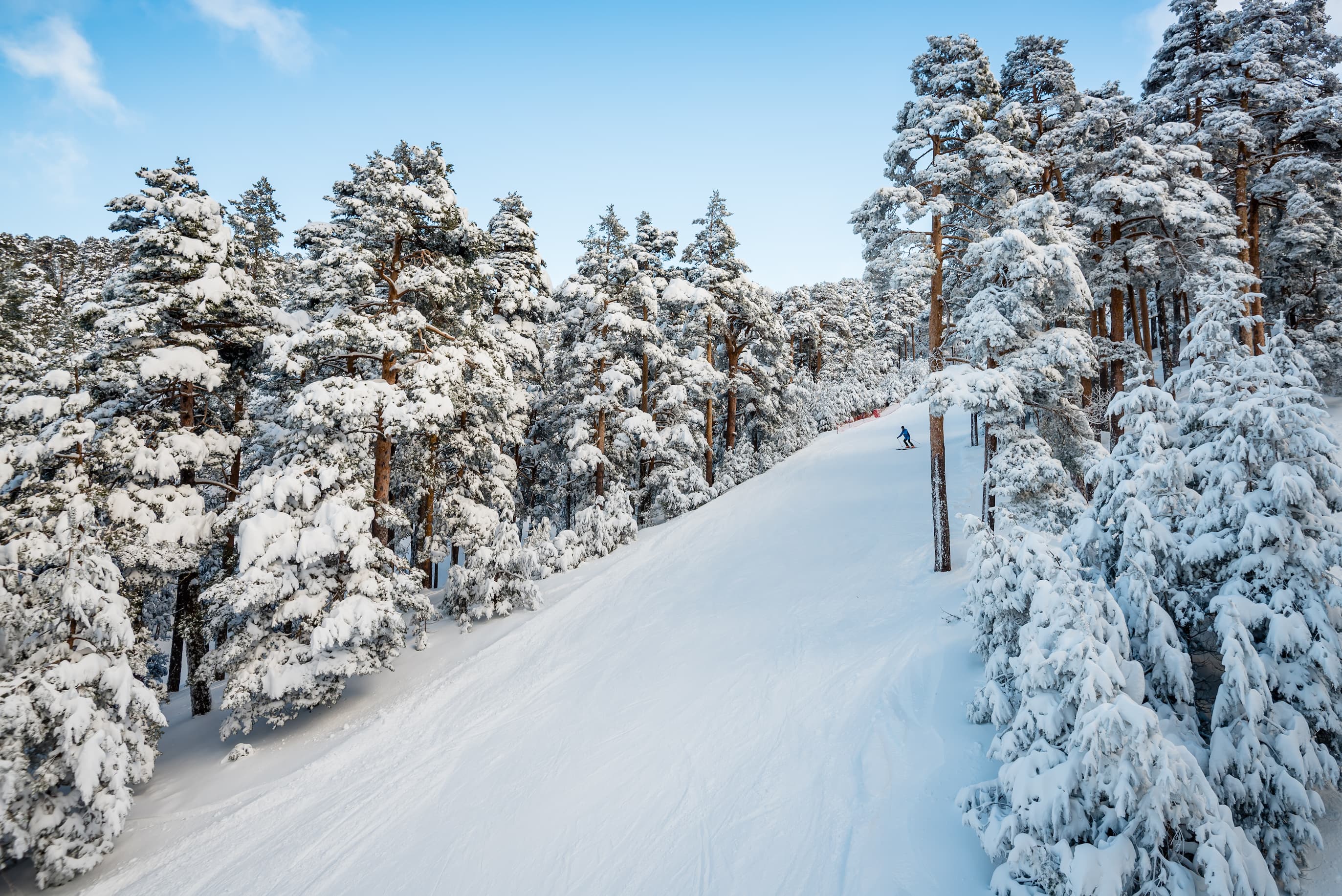 Esquí de invierno y bosque en Madrid, España 